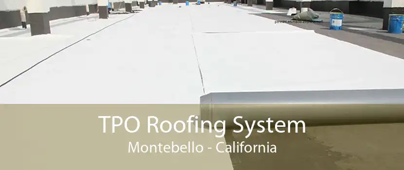 TPO Roofing System Montebello - California