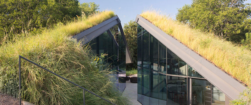 Residential Green Roof Montebello